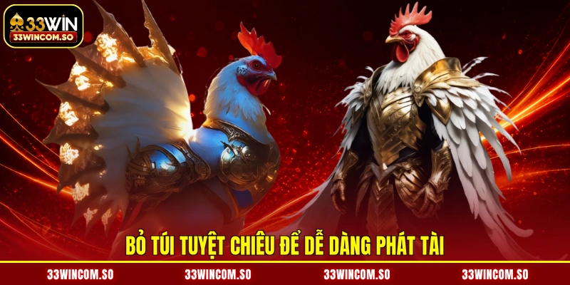 Đá Gà Cựa Dao - Trường Đấu Kịch Tính, Kiếm Tiền Hết Ý 4 Bỏ túi tuyệt chiêu để dễ dàng phát tài