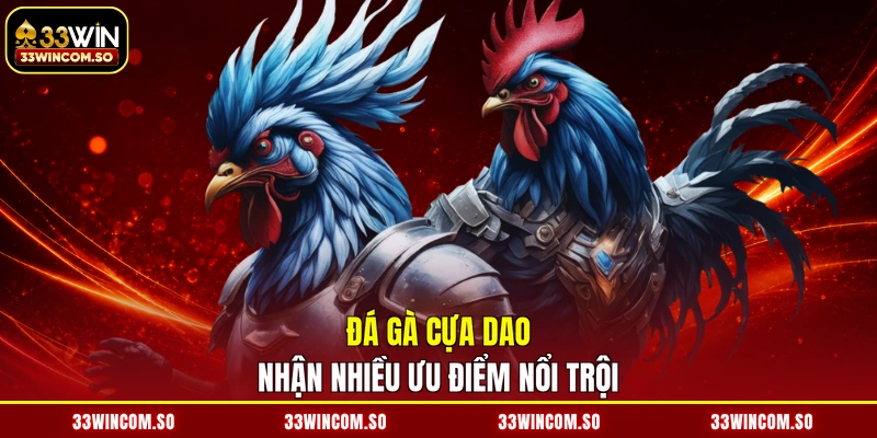 Đá Gà Cựa Dao - Trường Đấu Kịch Tính, Kiếm Tiền Hết Ý 2 Đá gà cựa dao nhận nhiều ưu điểm nổi trội